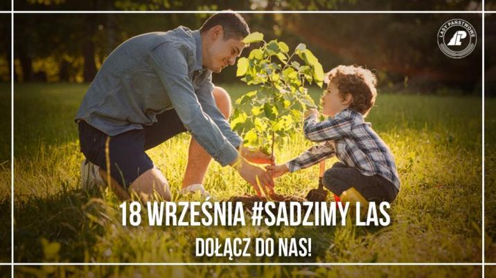 #sadziMY drzewa z Lasami Państwowymi