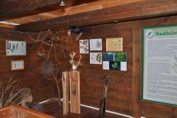 wnętrze sali muzealnej