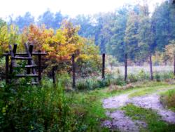 Ścieżka edukacyjna "Kopanina"