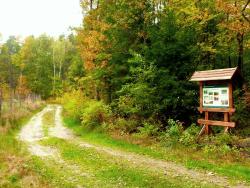 Ścieżka edukacyjna "Kopanina"