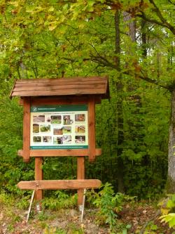 Jedna z tablic przy ścieżce edukacyjnej