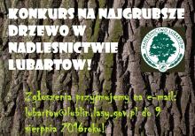 Konkurs na najgrubsze drzewo w Nadleśnictwie Lubartów!